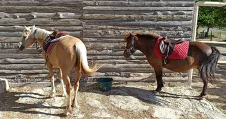 Balades à poneys avec l'Ecurie des quatre Soleils Balades à poneys avec l'Ecurie des quatre Soleils