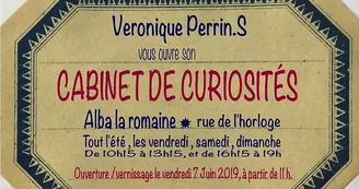 Cabinet de curiosités