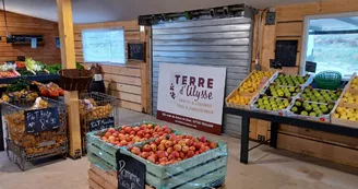Terre d’Ulysse