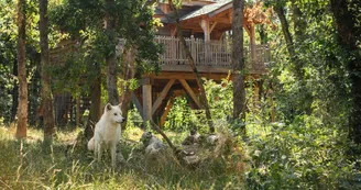 Les Cabanes Perchées du Safari de Peaugres Les Cabanes Perchées du Safari de Peaugres