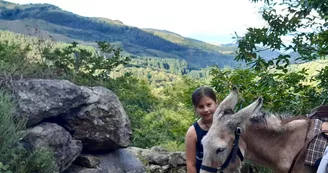 Randonnée avec ânes à la demi-journée