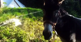 Les Faysses de l'Hêtre