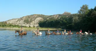 Traversée à cheval de rivières Traversée à cheval de rivières