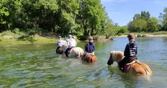 Traversée à cheval de rivières Traversée à cheval de rivières