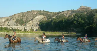 Traversée à cheval de rivières Traversée à cheval de rivières