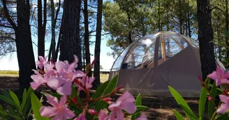 Bulle "Etoile d'Ardèche" - Camping Hello Soleil Bulle "Etoile d'Ardèche" - Camping Hello Soleil