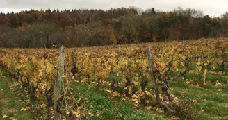 Le domaine des Bardes