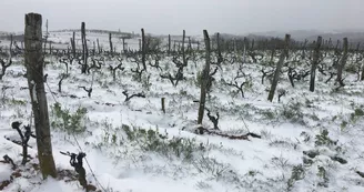 Le domaine des Bardes