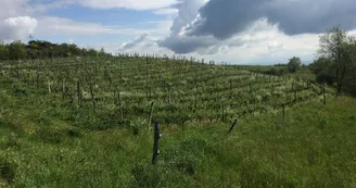 Le domaine des Bardes
