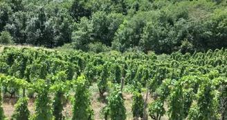 Le domaine des Bardes