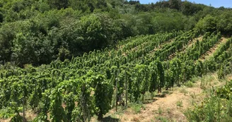 Le domaine des Bardes