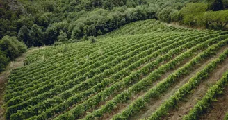 Le domaine des Bardes