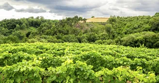 Le domaine des Bardes