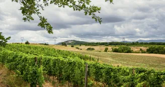 Le domaine des Bardes