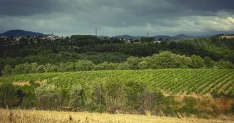 Le domaine des Bardes