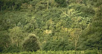 Le domaine des Bardes