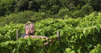 Le domaine des Bardes