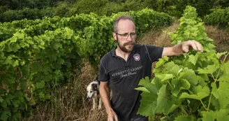 Le domaine des Bardes