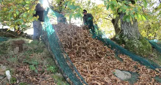 GAEC La Ferme du Bouveironnet