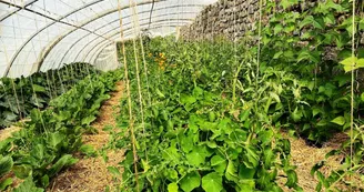 GAEC La Ferme du Bouveironnet