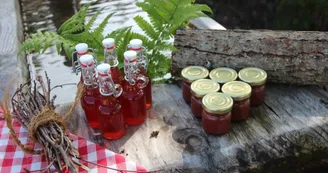 Producteurs Label Terre