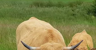La Ferme des Griules La Ferme des Griules