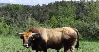 La Ferme des Griules La Ferme des Griules