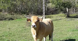 La Ferme des Griules La Ferme des Griules