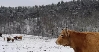 La Ferme des Griules La Ferme des Griules