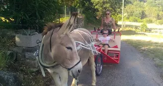 Balade en escargoline avec Carab'Âne