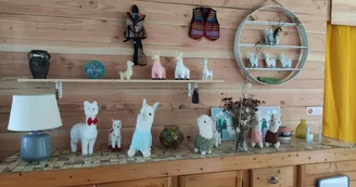 Lamas de là-bas - Balades ludiques et pédagogiques Lamas de là-bas - Balades ludiques et pédagogiques