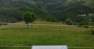 Lamas de là-bas - Balades ludiques et pédagogiques Lamas de là-bas - Balades ludiques et pédagogiques