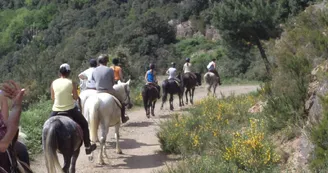 Balade en famille - Ferme Equestre le Foussac Balade en famille - Ferme Equestre le Foussac