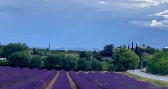 Villa L'Embellie, gîte 3 *, climatisation /grande piscine privée, 6-7 personnes SUD Ardèche Villa L'Embellie, gîte 3 *, climatisation /grande piscine privée, 6-7 personnes SUD Ardèche
