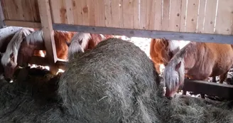 Gîte des Tranchouses : L'Oustal Gîte des Tranchouses : L'Oustal