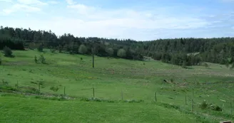 Gîte des Tranchouses : La Grange