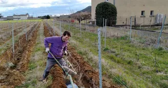 L'Homme à tête de vin L'Homme à tête de vin