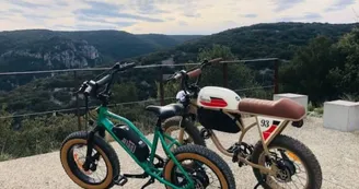 Location de vélos électrique vintage avec les bikes de papa - Journée Location de vélos électrique vintage avec les bikes de papa - Journée