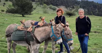 Randonnée avec ânes à la journée Randonnée avec ânes à la journée