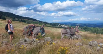 Randonnée avec ânes à la journée Randonnée avec ânes à la journée