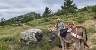 Randonnée avec ânes à la journée Randonnée avec ânes à la journée