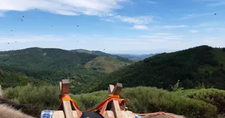 Randonnée avec ânes à la journée Randonnée avec ânes à la journée