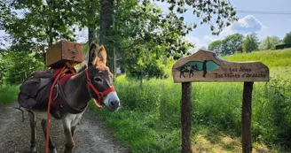 Chasse au trésor avec un âne Chasse au trésor avec un âne