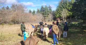 Chasse au trésor avec un âne Chasse au trésor avec un âne