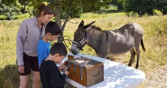 Chasse au trésor avec un âne Chasse au trésor avec un âne