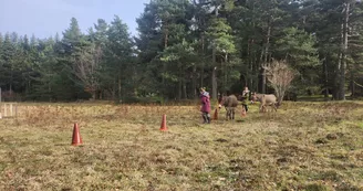 Chasse au trésor avec un âne Chasse au trésor avec un âne