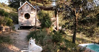Location Tiny House