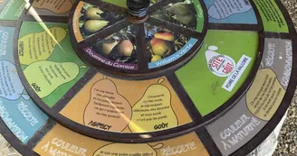 Jeu de piste interactif "A la recherche du poirier sacré" Jeu de piste interactif "A la recherche du poirier sacré"