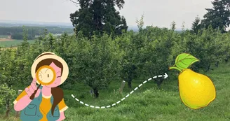 Jeu de piste interactif "A la recherche du poirier sacré" Jeu de piste interactif "A la recherche du poirier sacré"
