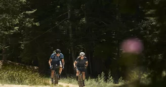 Location de vélos Route, Gravel et VTT à la journée - Face Sud Location de vélos Route, Gravel et VTT à la journée - Face Sud
